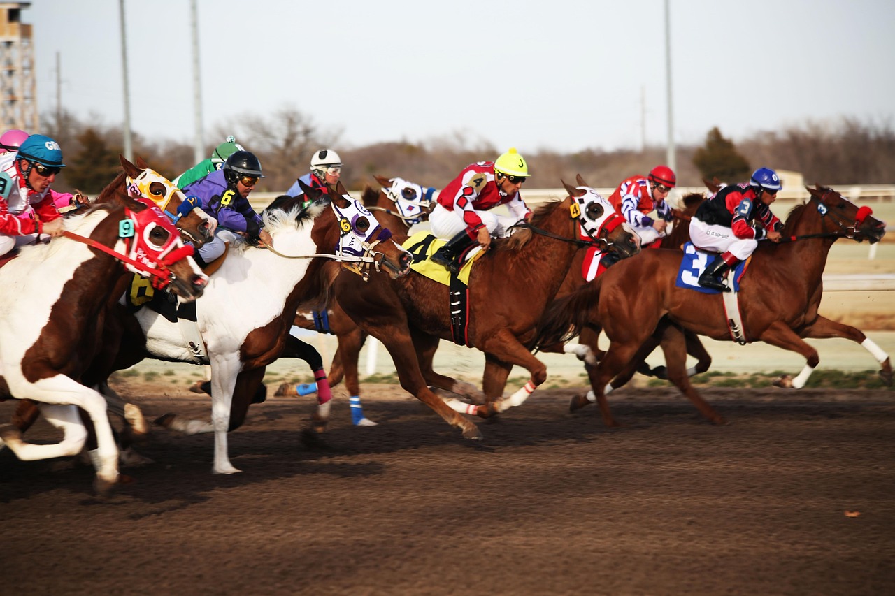 How to Best Horse Racing Apps: Step-by-Step Guide for India (2026)